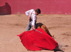 A Academia de Toureio do Campo Pequeno participou em mais um tentadero, desta vez na ganadaria de Falé Filipe.  